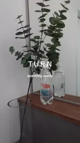 karinのTikTok投稿
