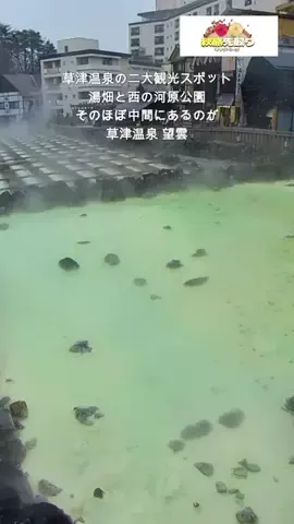 おでかけポコのTikTok投稿