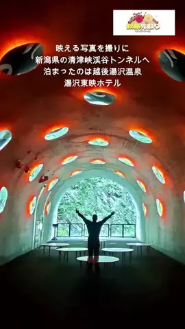 おでかけポコのTikTok投稿