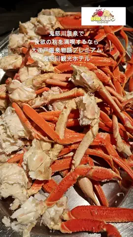 おでかけポコのTikTok投稿