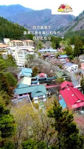 おでかけポコのTikTok投稿