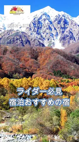 おでかけポコのTikTok投稿