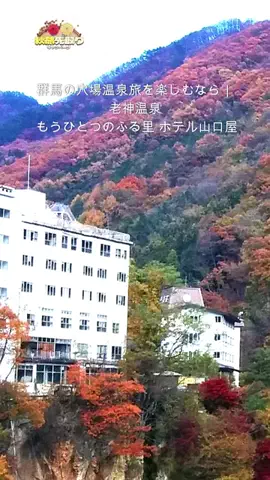 おでかけポコのTikTok投稿