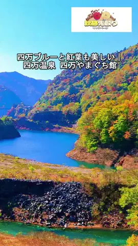 おでかけポコのTikTok投稿
