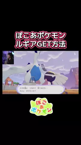サイちゃんネル💎のTikTok投稿