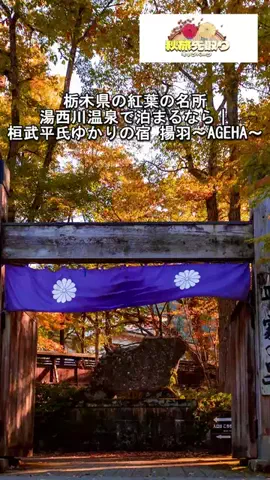 おでかけポコのTikTok投稿