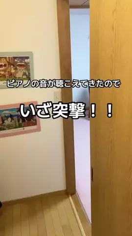 奇跡の大親友のTikTok投稿