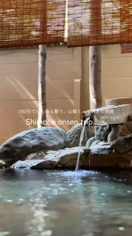 こだっくのTikTok投稿