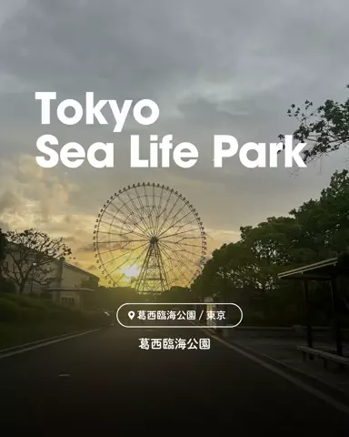ちーのおでかけのTikTok投稿