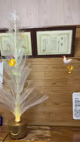 博多っ子 ┊︎ 福岡グルメのTikTok投稿