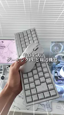 お主義/白いゲーム環境💭🫧のTikTok投稿