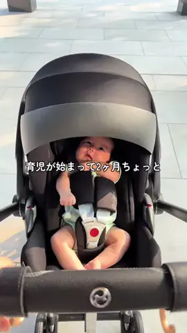momo_mumlifeのTikTok投稿
