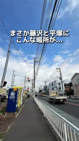 えびなびのTikTok投稿