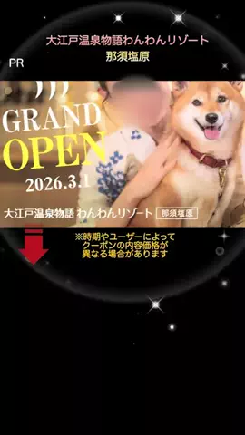 りんたまおのTikTok投稿