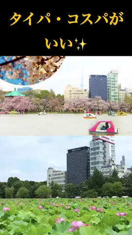 りんたまおのTikTok投稿