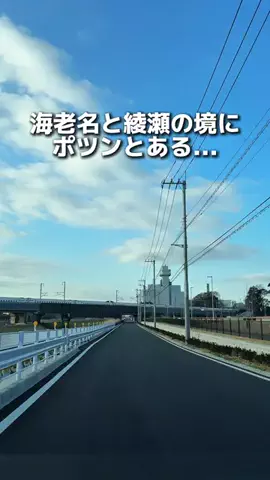 えびなびのTikTok投稿