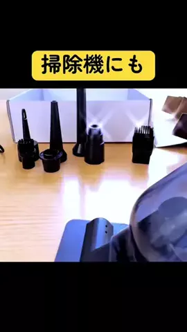 りんたまおのTikTok投稿