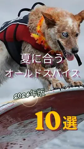大阪恋愛女子のTikTok投稿