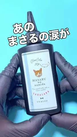 わん🐶のTikTok投稿
