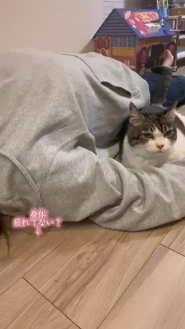 🐈もずあずちゃんねる🐈のTikTok投稿