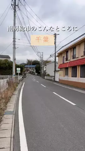 ゆき姉｜60代、千葉・内房ひとり旅グルメのTikTok投稿
