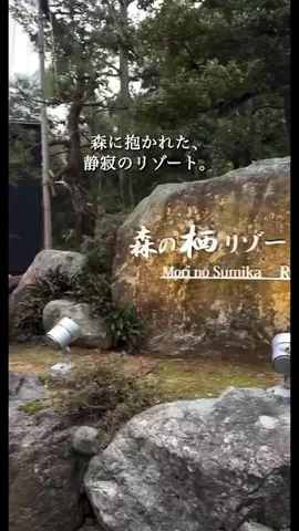 一度は行きたい極上ホテルのTikTok投稿