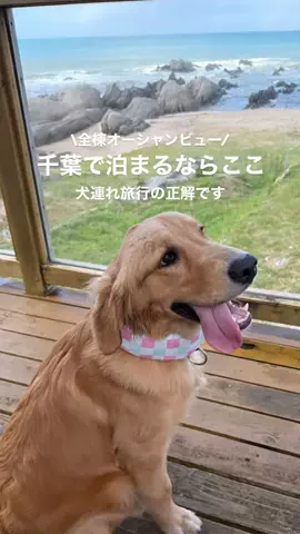 高山凌の外食日記✈️ホテル旅のTikTok投稿