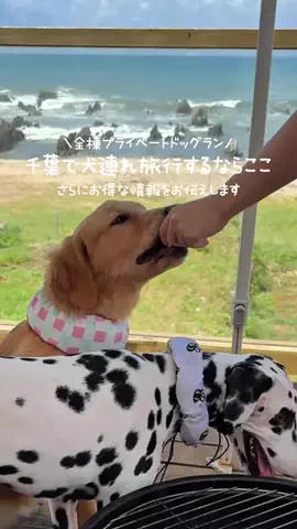高山凌の外食日記✈️ホテル旅のTikTok投稿