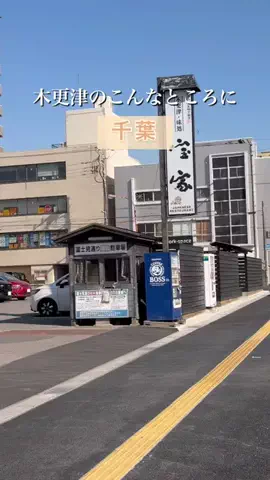 ゆき姉｜60代、千葉・内房ひとり旅グルメのTikTok投稿