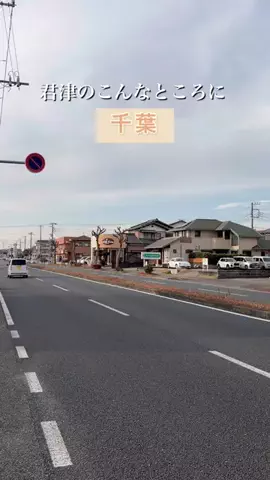 ゆき姉｜60代、千葉・内房ひとり旅グルメのTikTok投稿