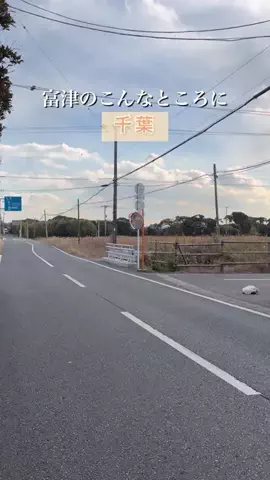 ゆき姉｜60代、千葉・内房ひとり旅グルメのTikTok投稿