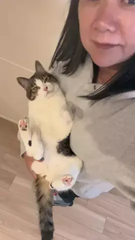 🐈もずあずちゃんねる🐈のTikTok投稿