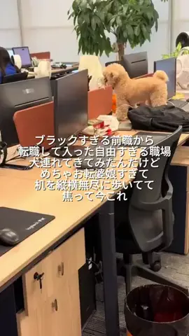 りあのTikTok投稿