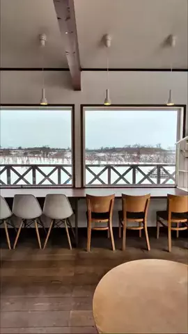いち⌇ 札幌カフェ・札幌グルメのTikTok投稿