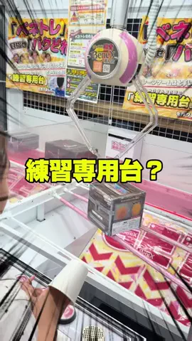 せのときなりの日常のTikTok投稿