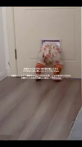 ひかり美容ネキ✨のTikTok投稿