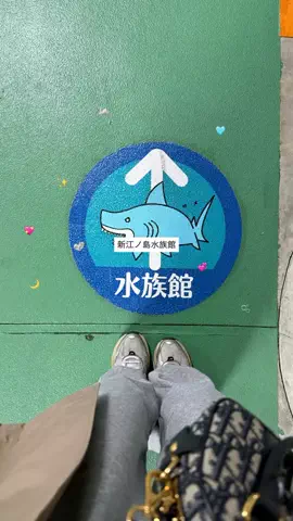 群馬発すー旅⌇旅と暮らしのTikTok投稿