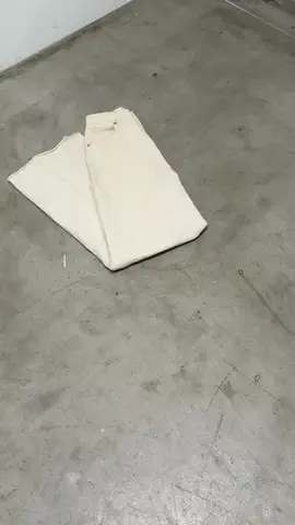 チのTikTok投稿