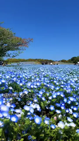 JPN旅する配達人ふぅ🐒🏔️🥾のTikTok投稿