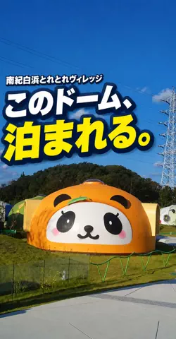 おじさんのTikTok投稿