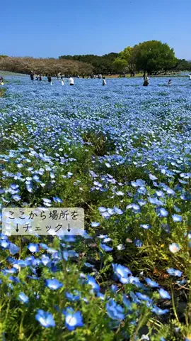 JPN旅する配達人ふぅ🐒🏔️🥾のTikTok投稿