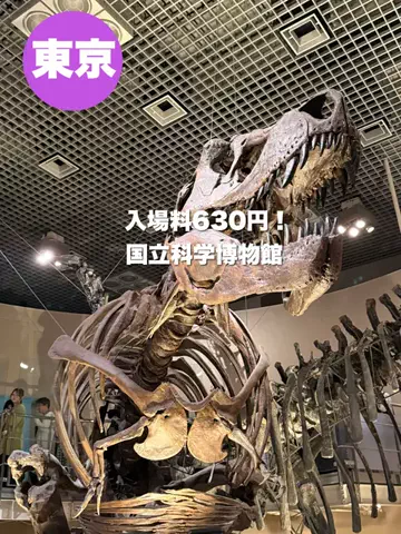 群馬発すー旅⌇旅と暮らしのTikTok投稿