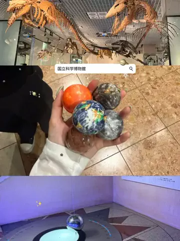 群馬発すー旅⌇旅と暮らしのTikTok投稿