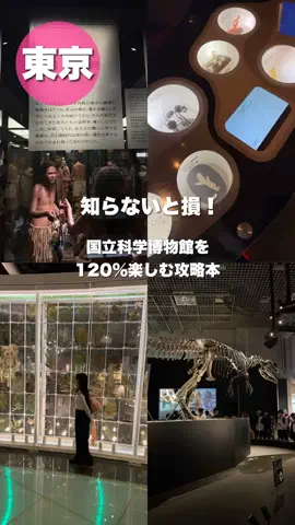 群馬発すー旅⌇旅と暮らしのTikTok投稿