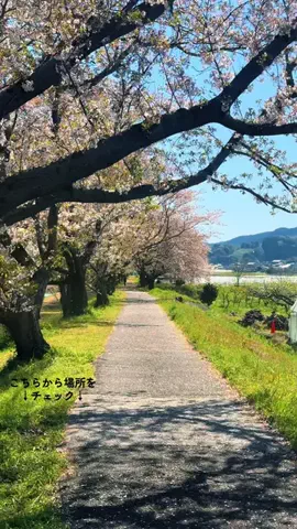 JPN旅する配達人ふぅ🐒🏔️🥾のTikTok投稿