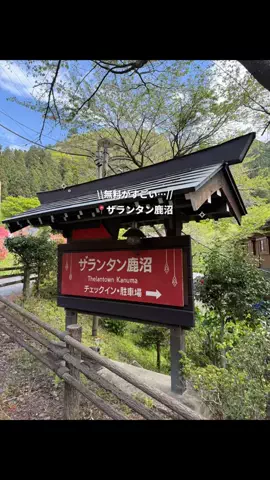 群馬発すー旅⌇旅と暮らしのTikTok投稿