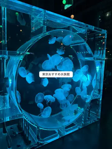 群馬発すー旅⌇旅と暮らしのTikTok投稿