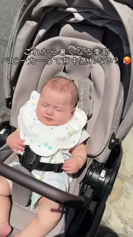 まんまるのTikTok投稿