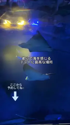 jennifer_eyesのTikTok投稿