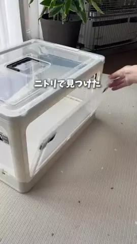 まますけ|無駄買いゼロの出産準備のTikTok投稿